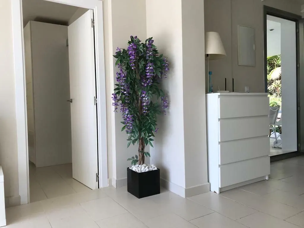 Daire Martina Apartamentos Zahara de los Atunes İspanya